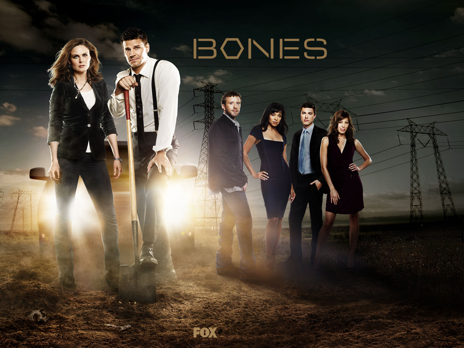 bones